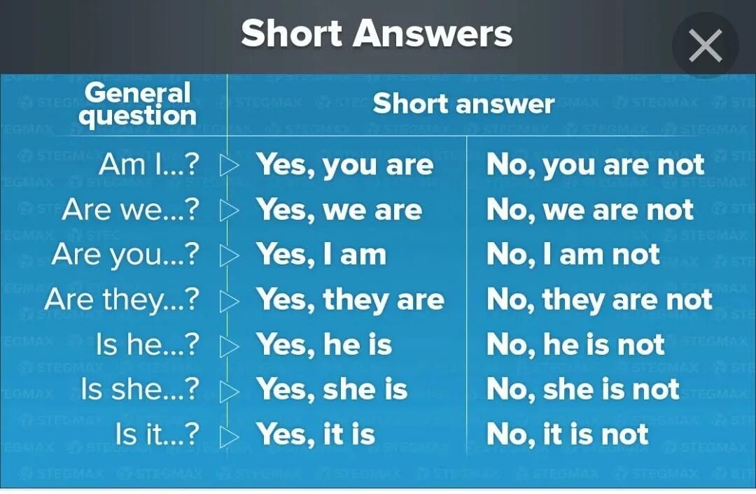 Write questions using was or were