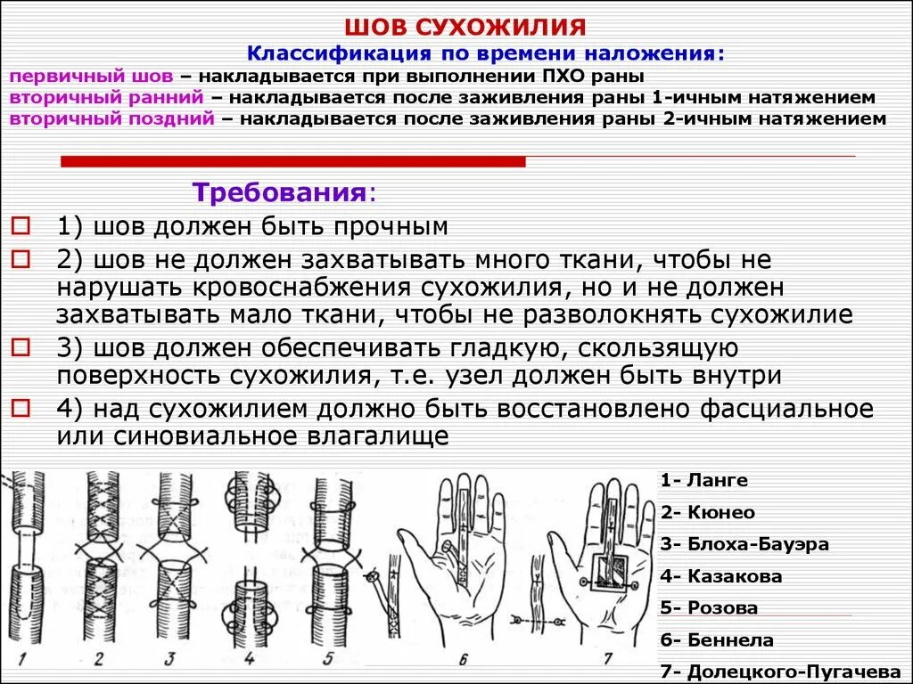 Шов сухожилия топографическая анатомия. Классификация сухожильных швов по технике наложения. Принципы формирования сухожильного шва. Внутриствольный шов сухожилия. Топографическая анатомия сухожилий