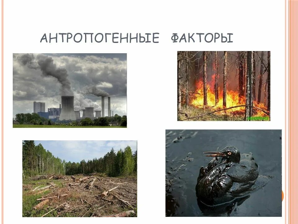 Антропогенные факторы биология 5. Антропогенные факторы примеры. Антропогенные экологические факторы. Антропогенные негативные факторы. Антропогенные факторы.