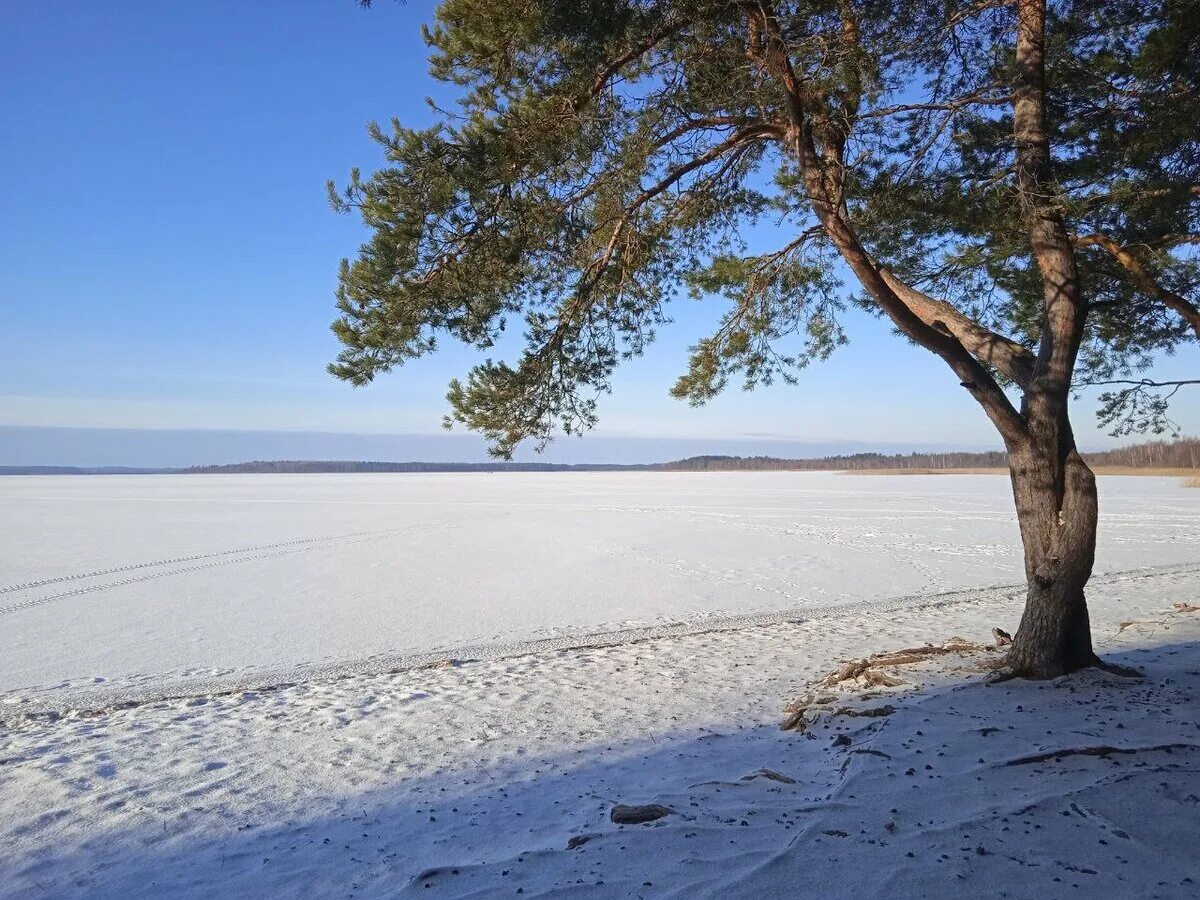 Озеро Двинье (Lake Dvin’e), Псков, Россия - описание, фото, на карте