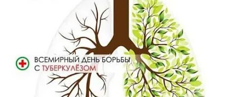 Гбуз борьбы с туберкулезом