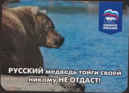 Выбери медведь