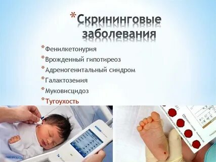Скрининг тест новорожденных