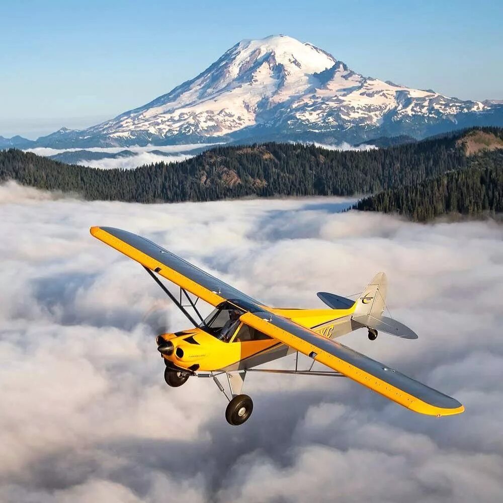 Дальность полета легкомоторного самолета. Cessna Bush. Cessna Bushplane. Легкомоторный самолет. Stol самолет.