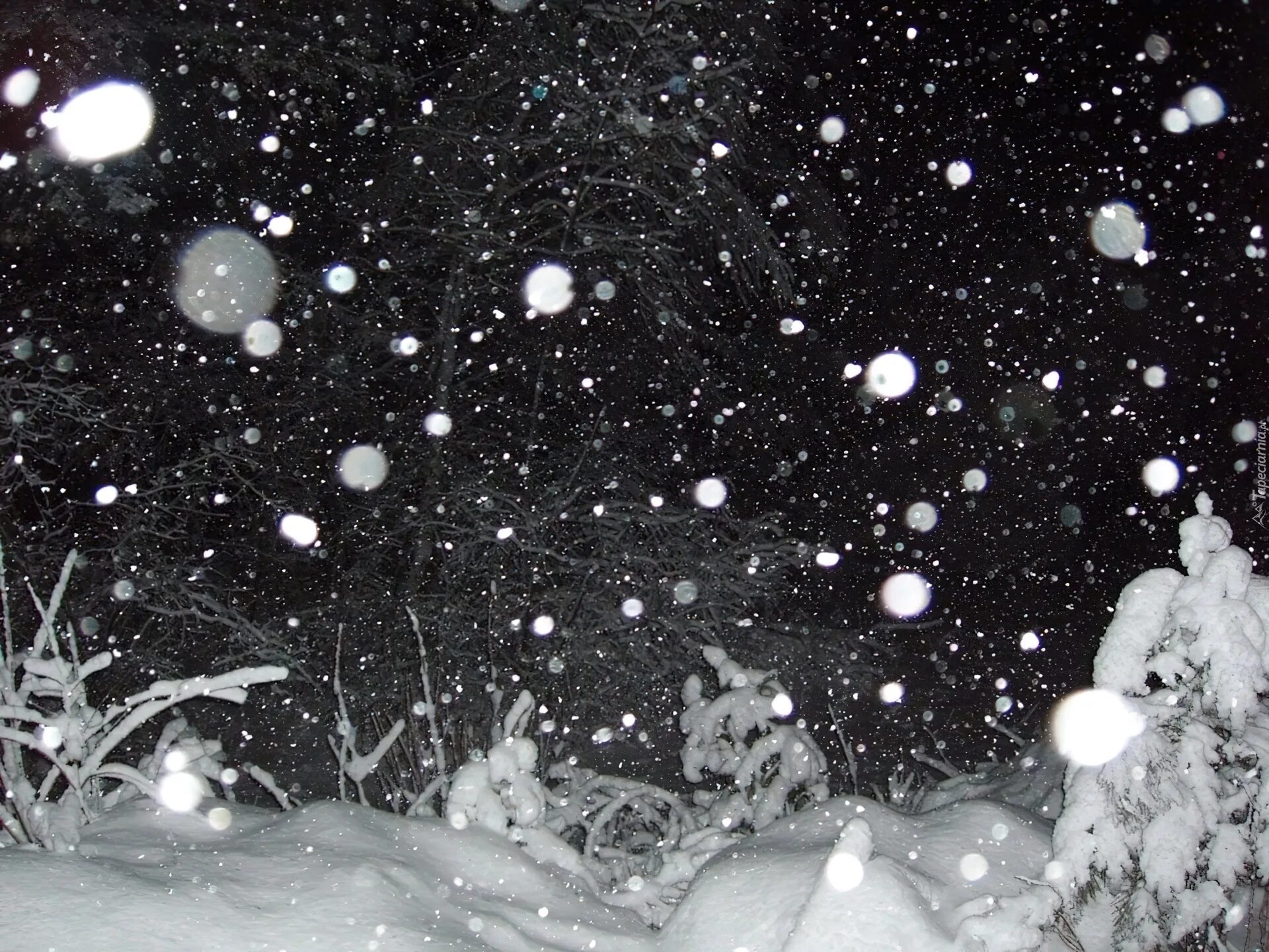 Снег идет пушистый белый. Хлопья снега. Снегопад. Крупные хлопья снега. Падающий снег.