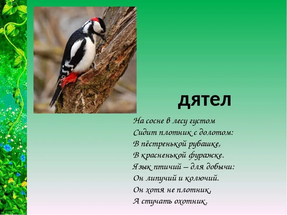 Загадки про птиц. Загадки про птиц для дошкольников. Загадка про птичку. 3 Загадки о птицах. Загадка с ответом птица