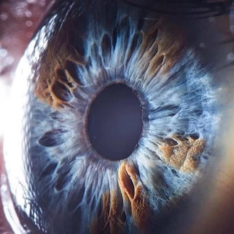 глаз крупным планом. зрачок человека фото. макросъемка глаза. сурен манвелян глаза. сурен манвелян глаза человека.