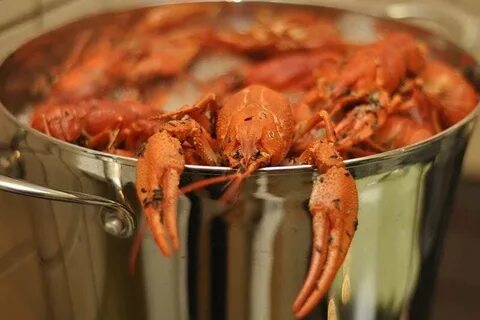 Раки варить