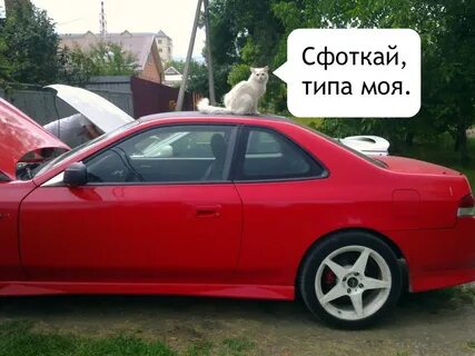 Сфоткай