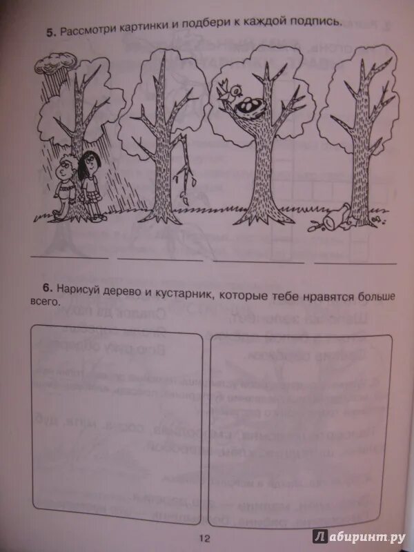 Подпиши каждый рисунок