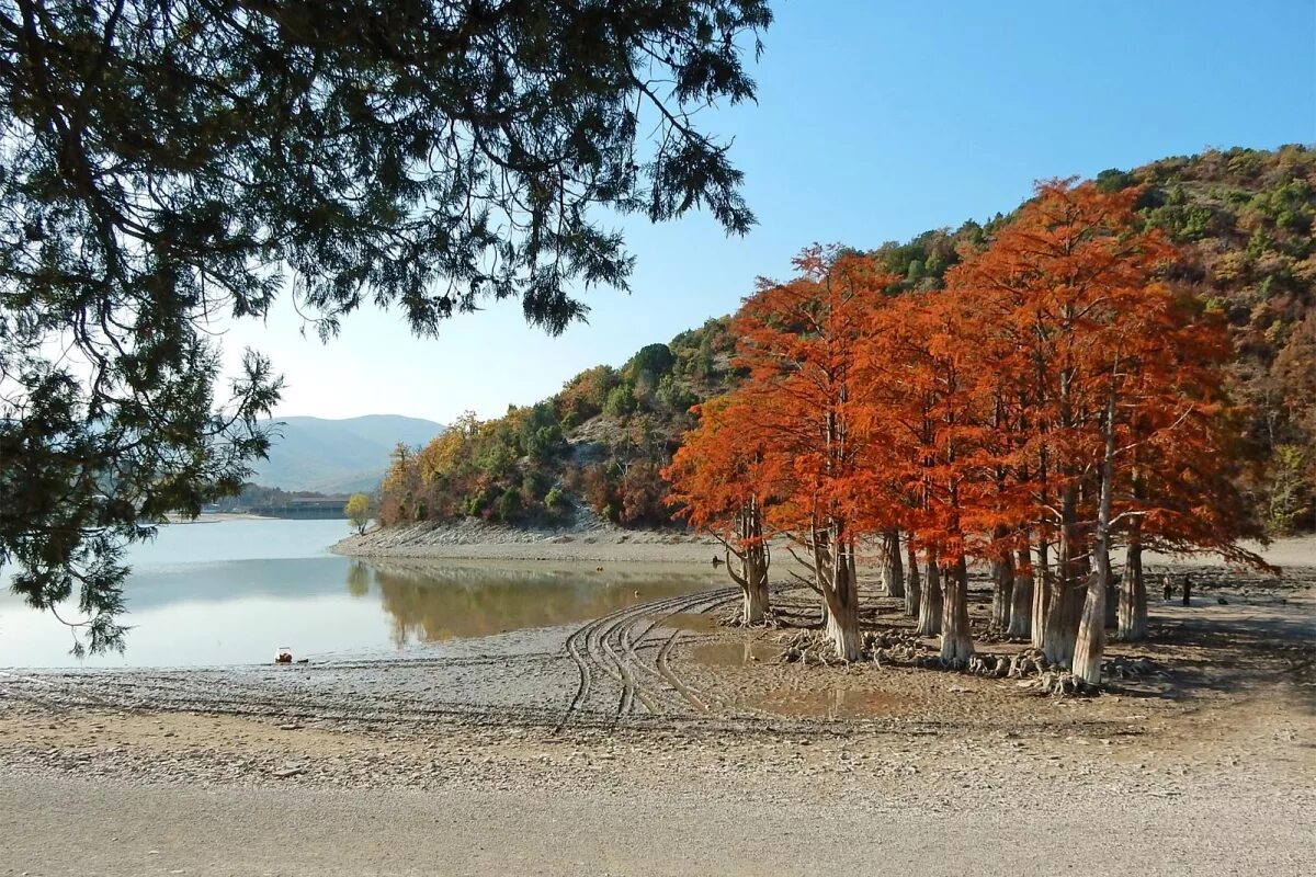 Кипарисовое озеро краснодарский край фото. Озеро Сукко в Анапе. Кипарисовое озеро в Анапе. Сукко Анапа Кипарисовое озеро. Озеро Сукко Кипарисовое озеро.