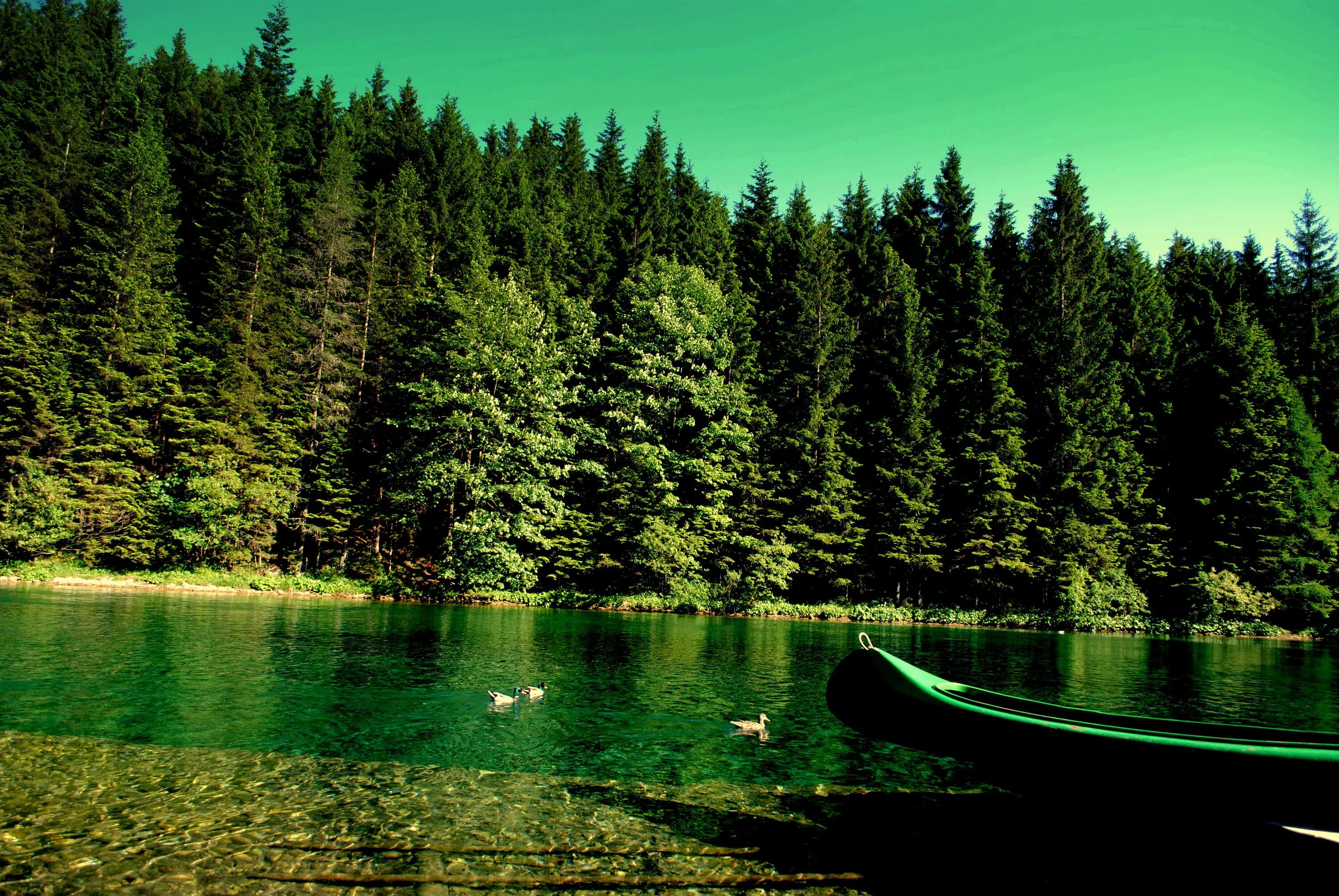 Рабочий стол высокого качества. Озеро Тургояк. Телецкое озеро. Природа лес. Озеро в лесу.