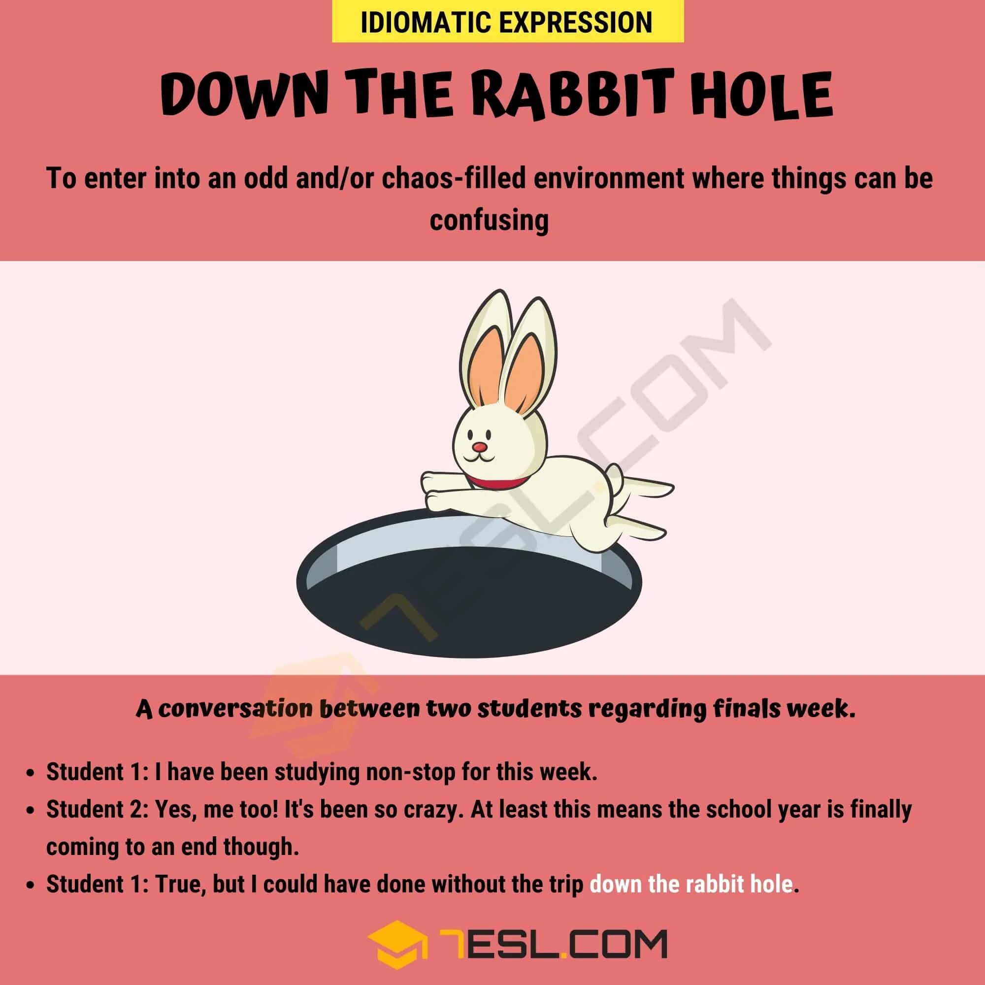 Go down the Rabbit hole. Rabbit hole meaning. Hole meaning. Rabbit hole текст. Раббит холе