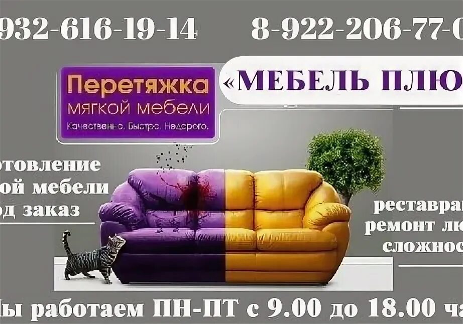 Мебель плюс нижний новгород каталог цены. Мебель плюс. Комфорт мебель плюс. Мебель плюс в Нижнем Новгороде. Мебель плюс препарат.