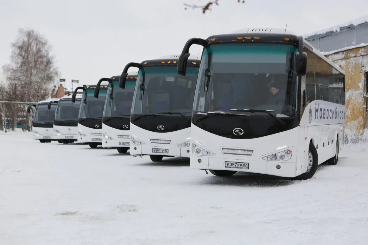 73 автобус новосибирск пашино. Нефаз новосибирск новый. Лиаз 5256. Маршрут 36 автобуса новосибирск. Автобус 73 пашино.