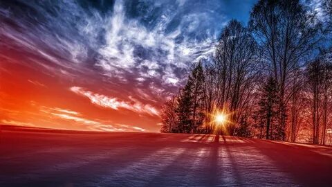 Nice pictures