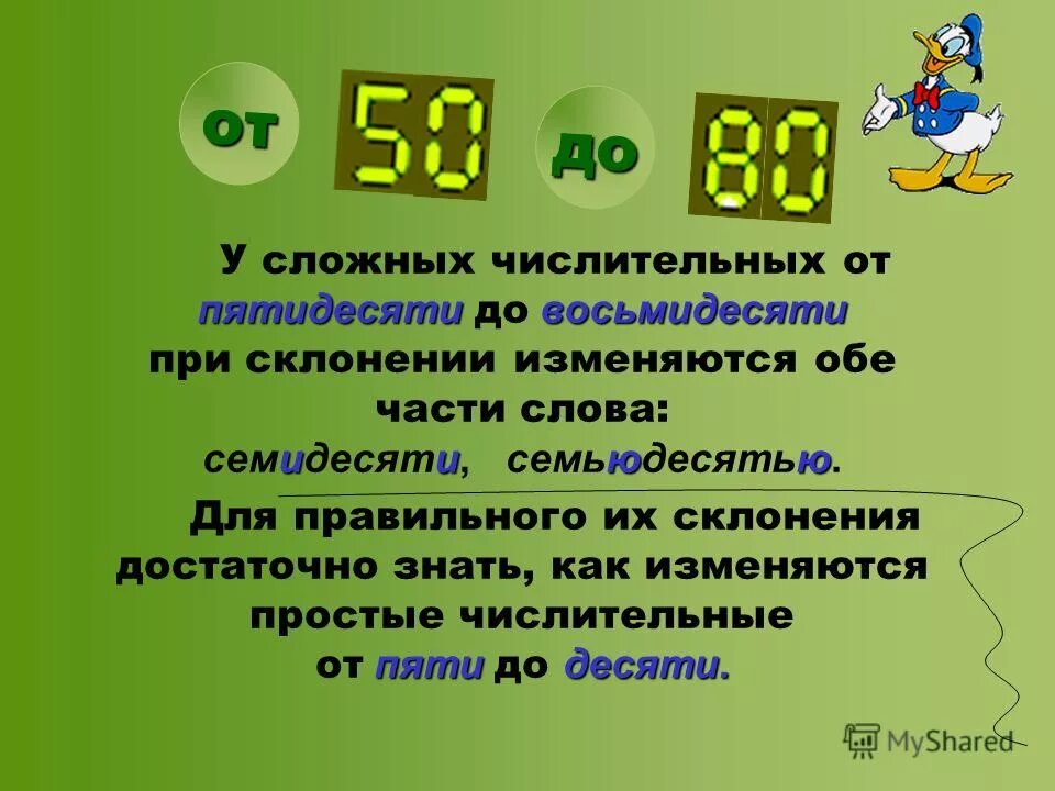 Простые числительные одиннадцать. Простые числительные одиннадцать
