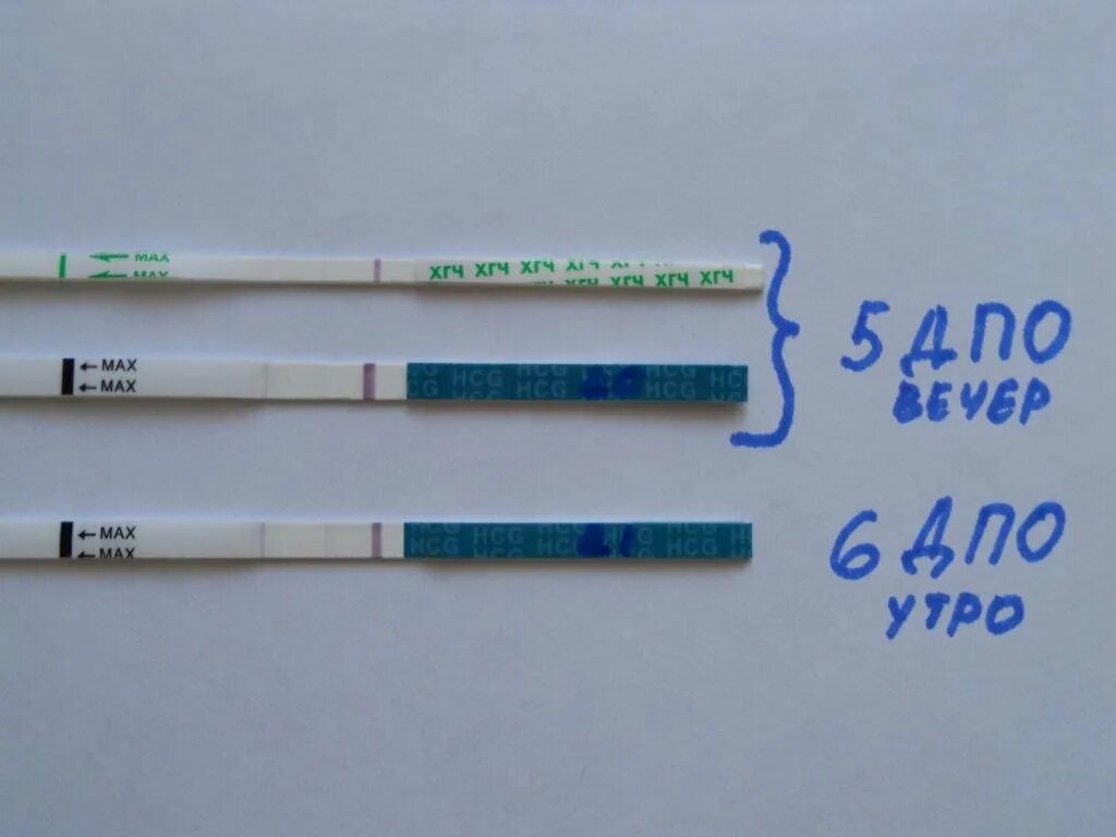 Тест на беременность. Тест на ранних сроках. Тест на беременность до задержки. Тесты на беременность по дням. Когда делать тест на беременность утром вечером