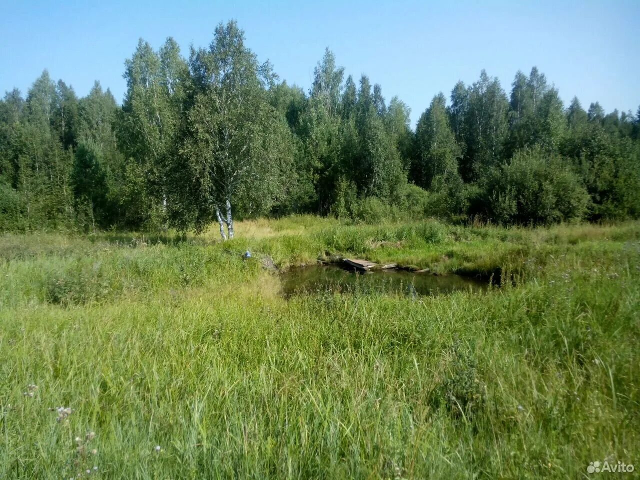 Широкая речка. Земельный участок Курья. Поселок широкая речка. Земельные участки Екатеринбург. 1 участок чкаловского