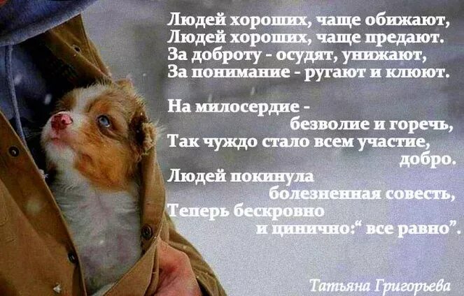 Дарите счастье всем и сейте доброту! - Всем учителям