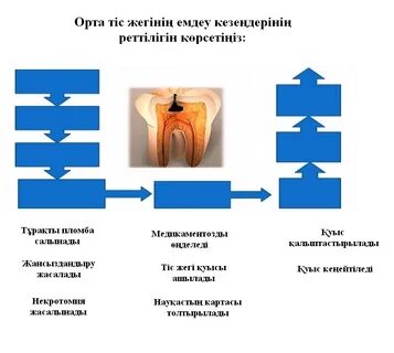 Арық кискаларды жалайды