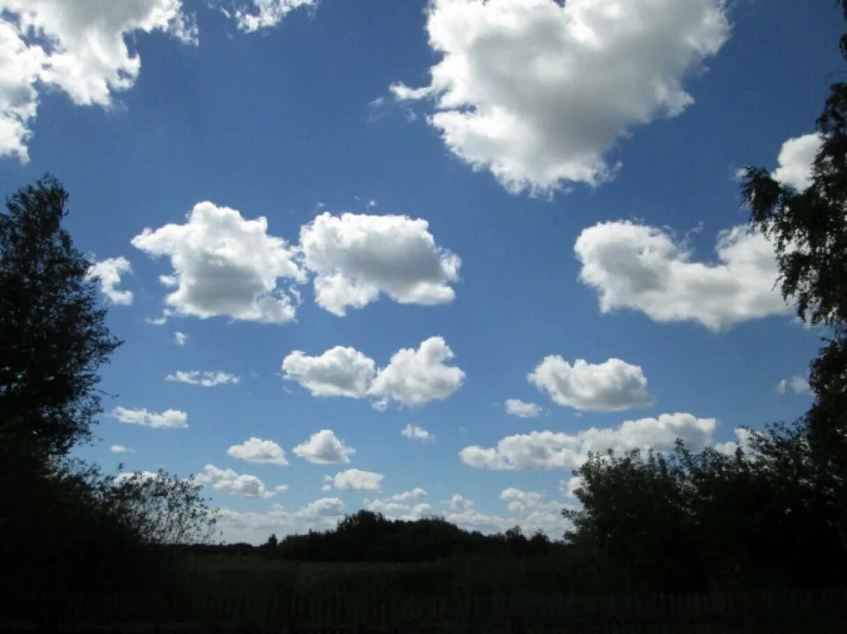 Наблюдения за облачностью. Наблюдение детей за облаками. Наблюдение за небом. Наблюдение за небом в старшей группе. Облака наблюдение за облаками с детьми.