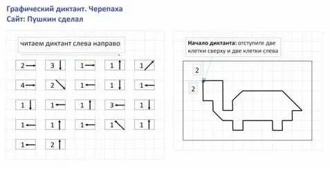 Графический диктант черепаха