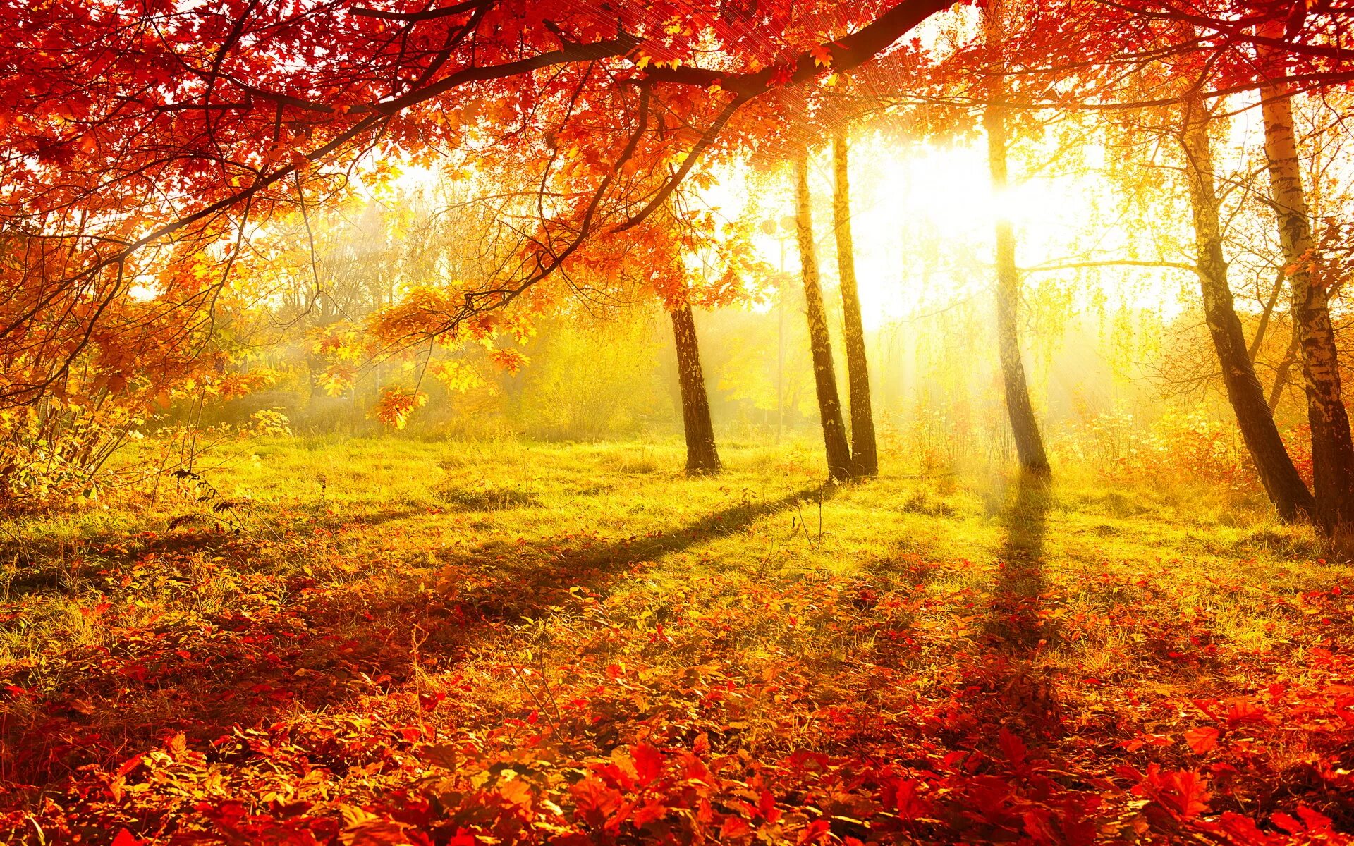 Hot autumn