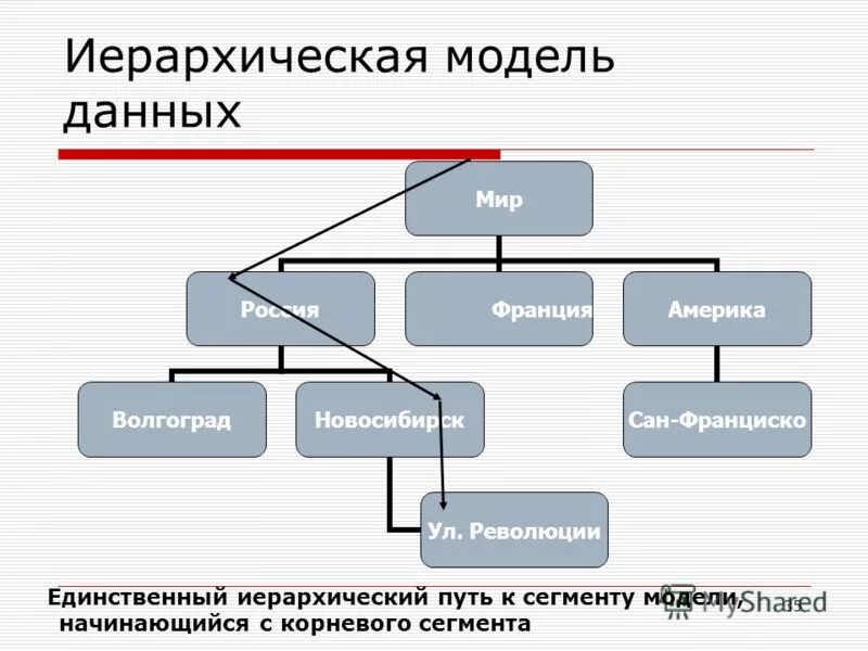 Иерархическая база данных. Иерархическая модель без данных. База данных иерархическая модель. Пример иерархической базы данных. В представленной модели использована