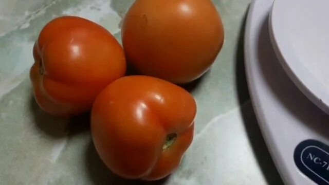 Томаты ф1 видео. Томат кибо f1. Томат ф1 император. Томат афродита f1. Томаты ф1 видео.