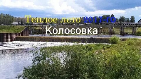 Погода бражниково колосовский
