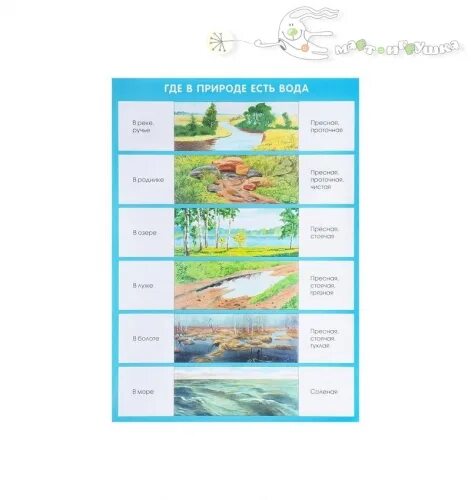 друзья природы надпись. разнообразие воды в природе. правила друзей природы с птицами. где в природе есть вода для дошкольников. презентация вода в природе для дошкольников.