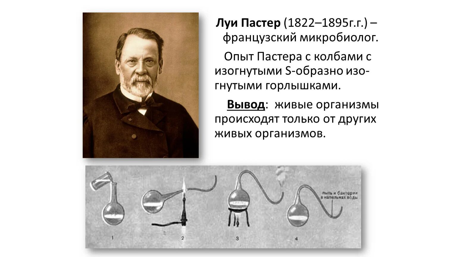 Годы жизни луи пастера. Французский микробиолог луи пастер.. луи пастер (1822-1895). луи пастер вклад в микробиологию. луи пастер хирургия.