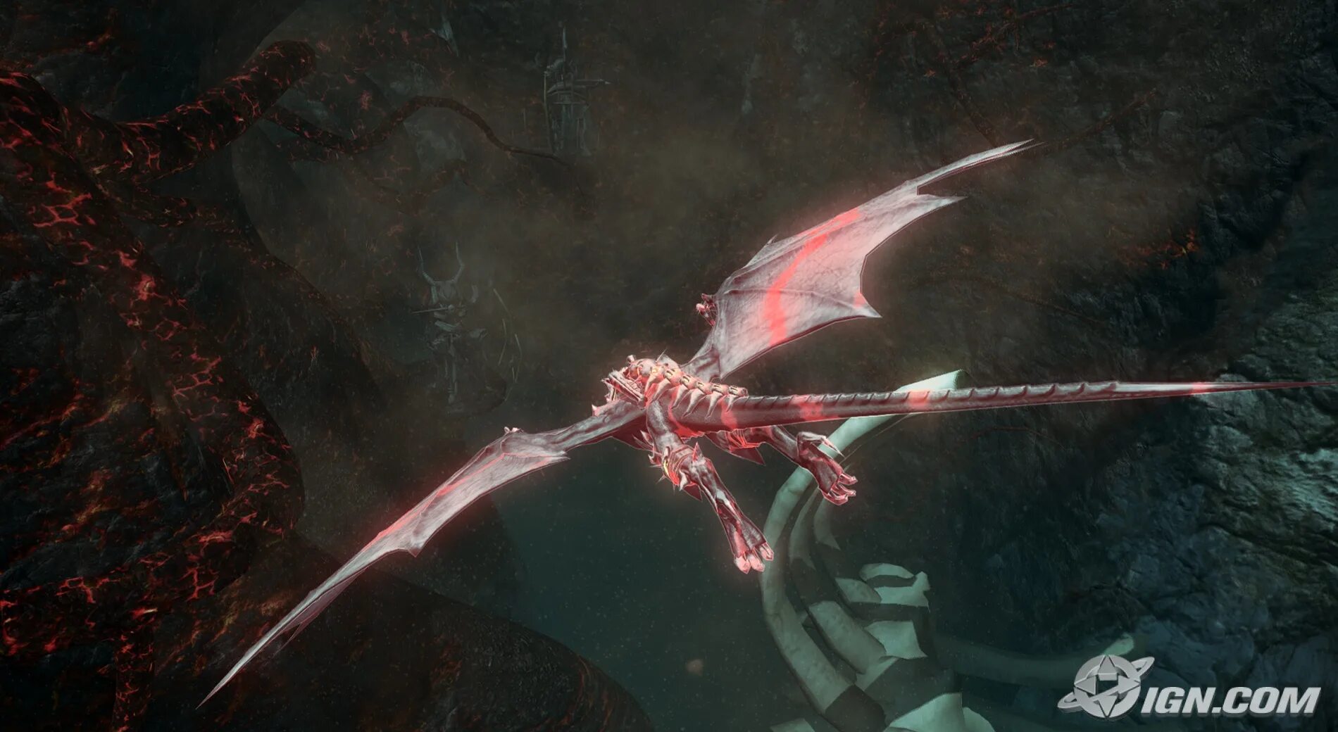 Драконова 2. Spellforce dragon storm. Dragon tail. Dark souls 2 дракон. Драгонайт дота 2.