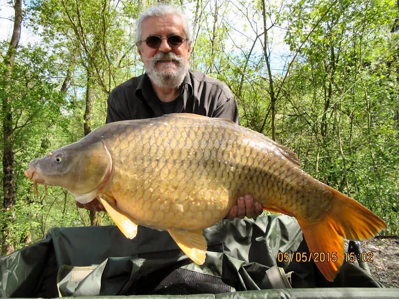 Карпфишинг на диком водоеме. Дикий карп. - смотреть видео онлайн от "ULTRABAITS"