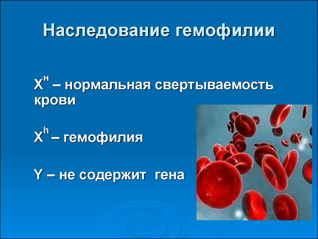 Наследование гемофилии. Гемофилия кровотечения.