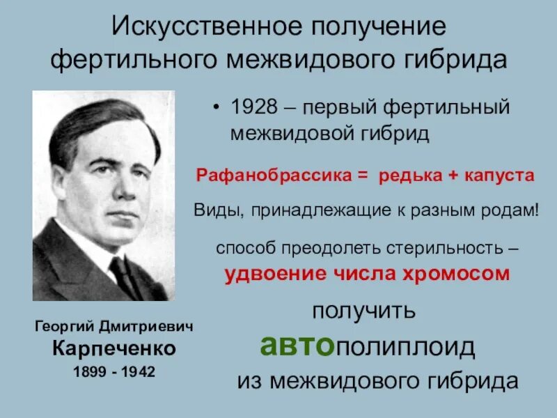 Достижения георгия дмитриевича карпеченко. Опыт карпеченко. Д. Вклад г д карпеченко и мичурина. Г д карпеченко вклад в селекцию.