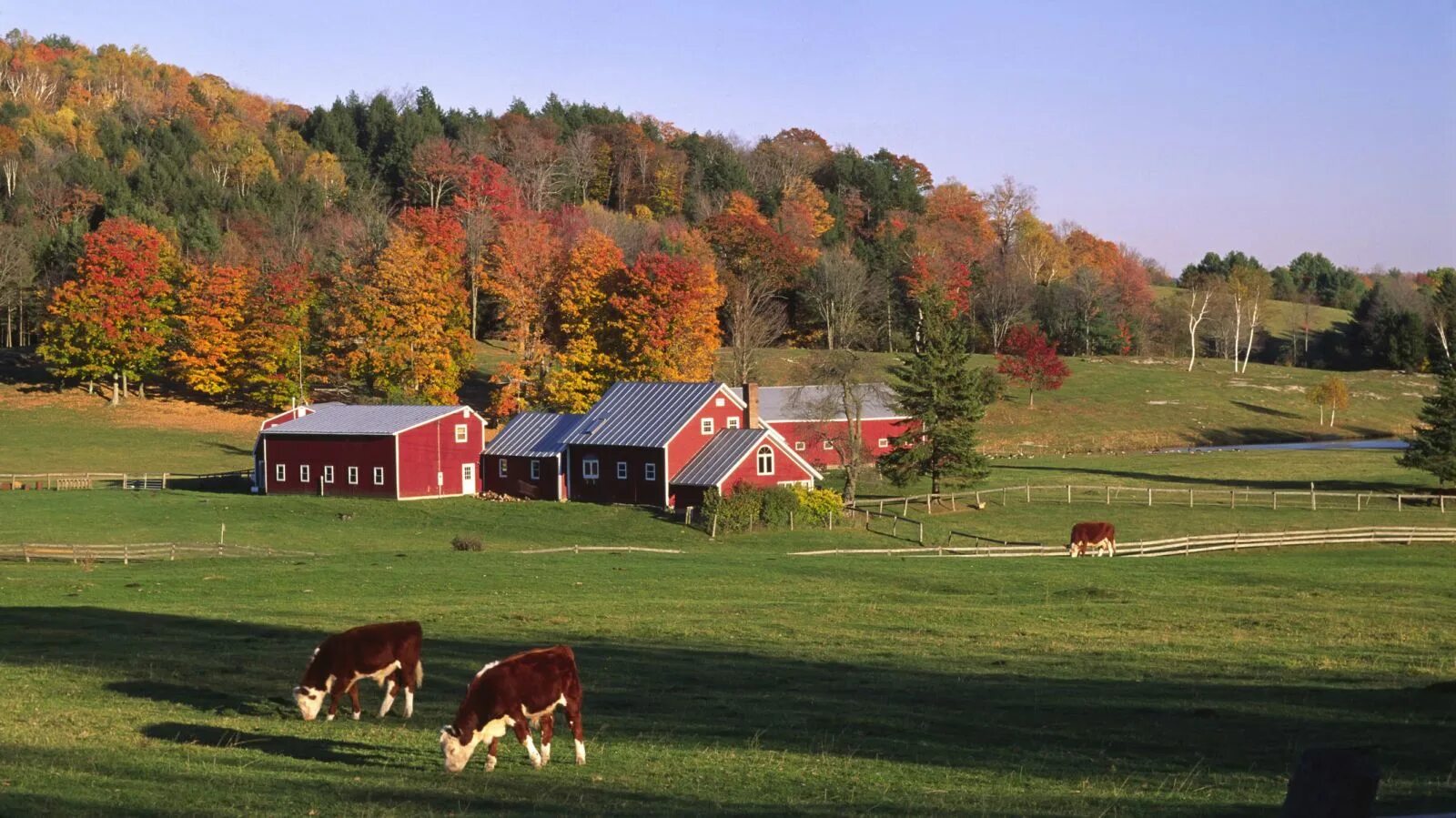 It is beautiful country. Вермонт штат ранчо. Штат Вермонт пейзажи поля. Американская ферма штат Канзас. Вирджиния штат ранчо.