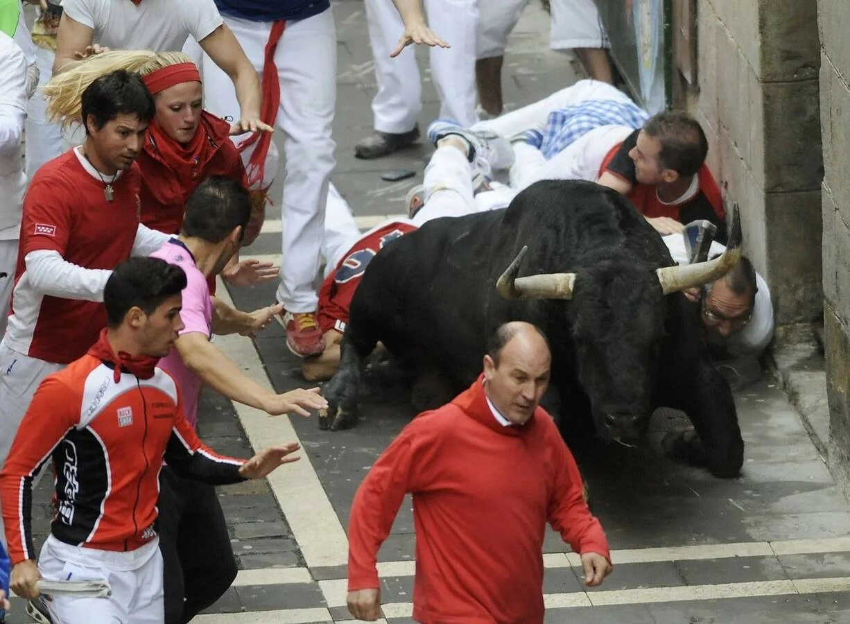 Побег от быка. Игра в Испании бегут от быка.
