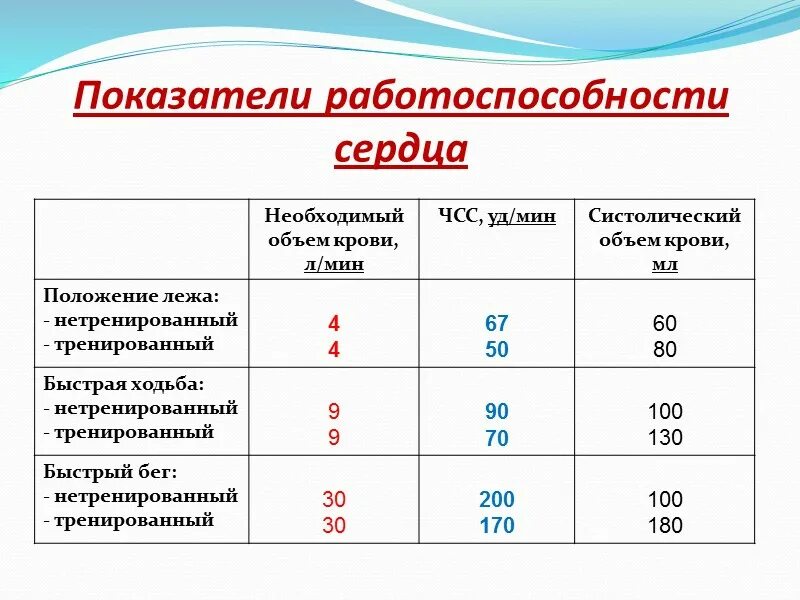 Работа сердца тренированного и нетренированного человека. Работа сердца тренированного и нетренированного человека
