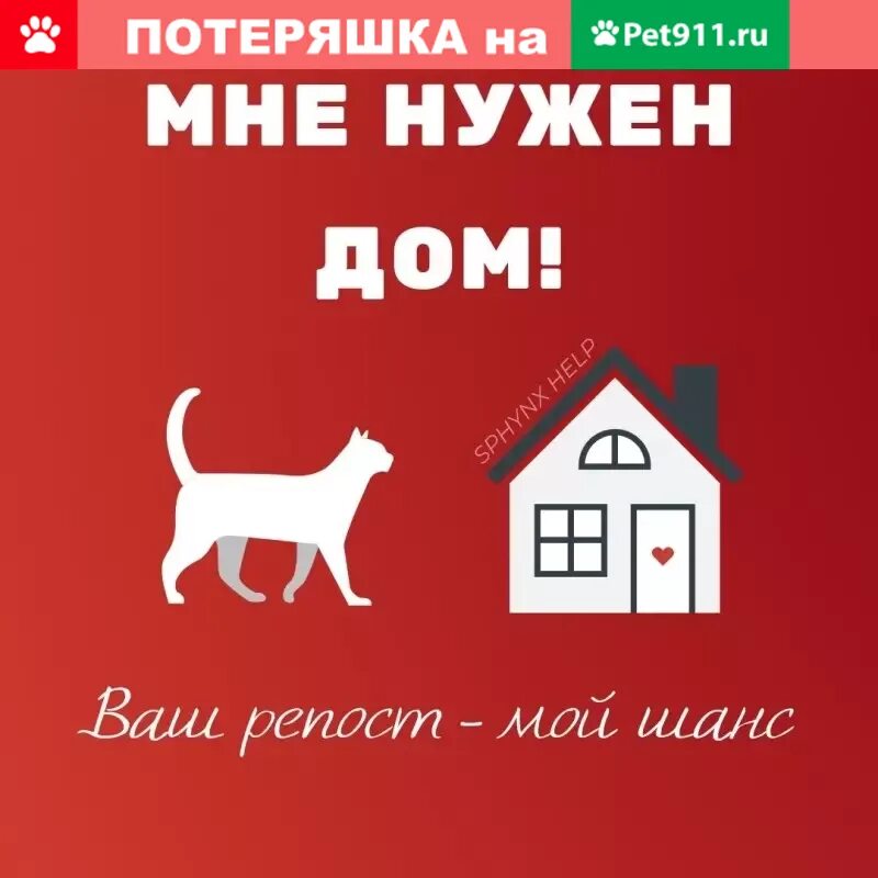 Помогаю репостом