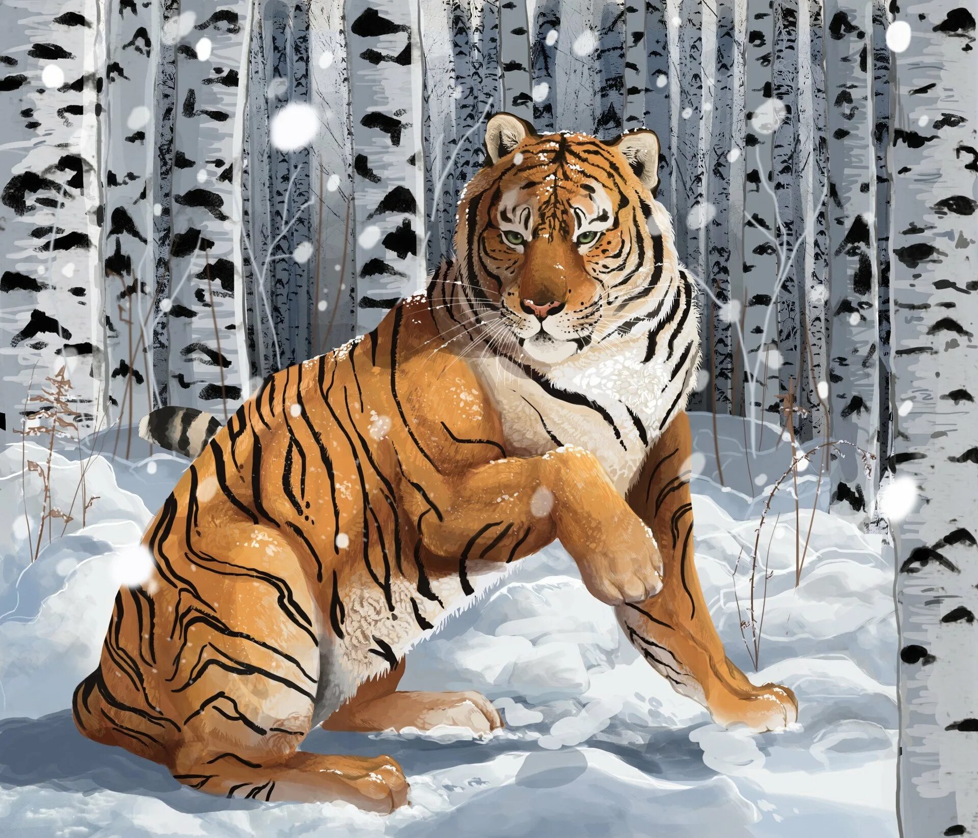 Новой год тигра. Амба тигр Уссурийский. Новогодний тигр. Тигр новый год. Амурский тигр.