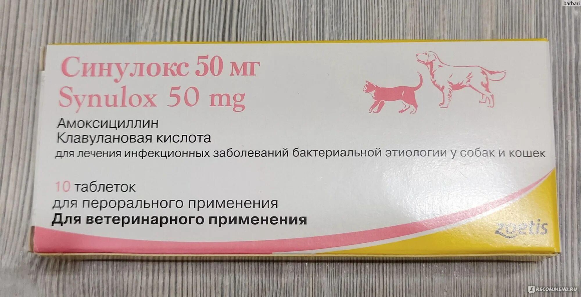 Синулокс дозировка. Синулокс 50 мг для кошек. Ветеринарный антибиотик синулокс. Синулокс 50 мг таблетки. Антибиотик для животных синулокс таблетки 50мг.