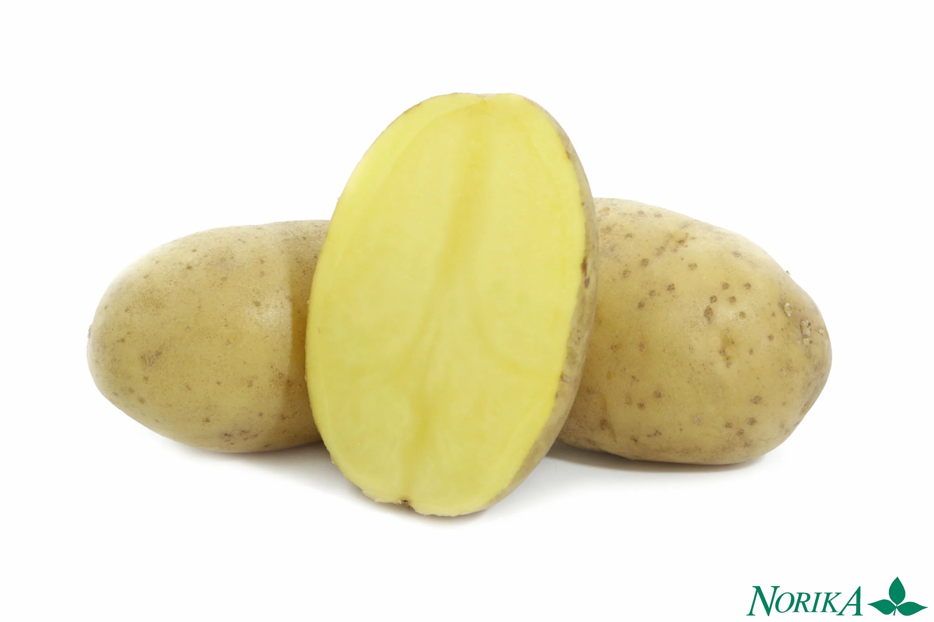 Пароли картофель характеристика. Сорт картофеля леди Клер.
