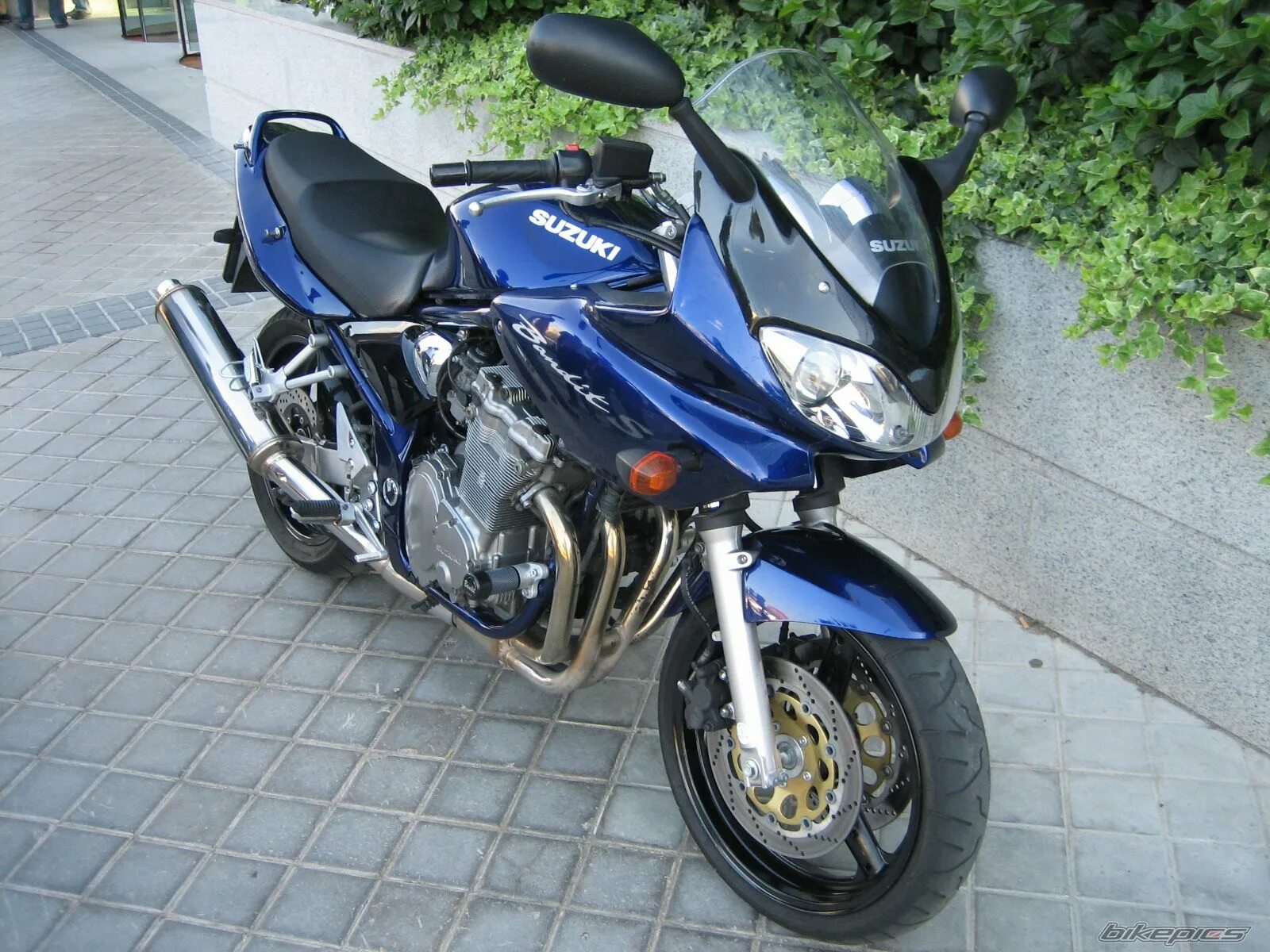 Suzuki bandit 600 2007. Сузуки бандит 600. Suzuki gsf 600. Сузуки бандит 450. Suzuki bandit 600 лошади.