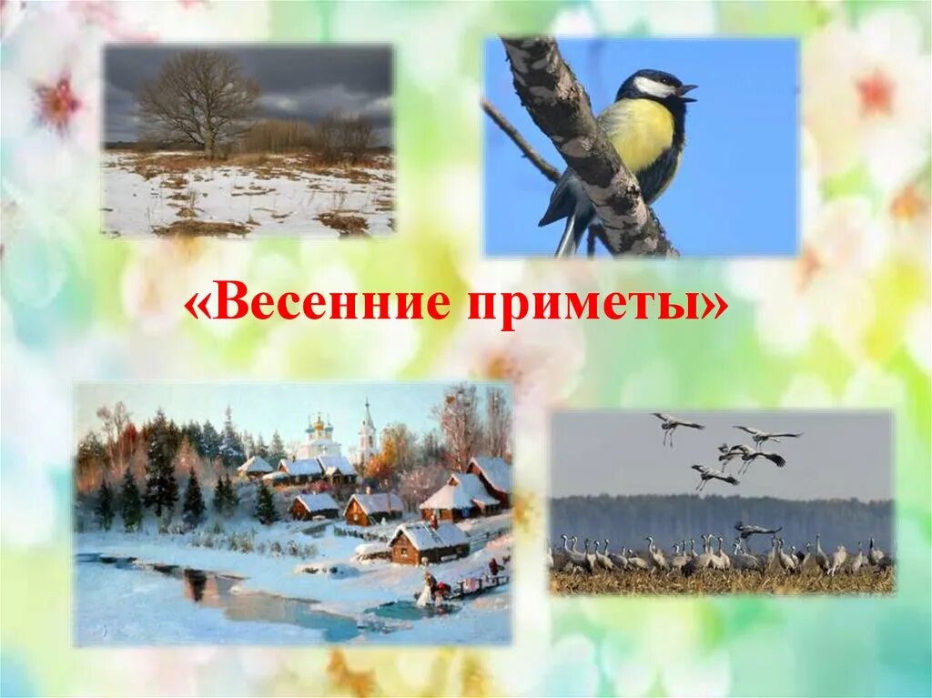 Народные приметы о весне. Приметы весны презентация.