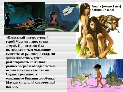 Маугли читательский дневник 4