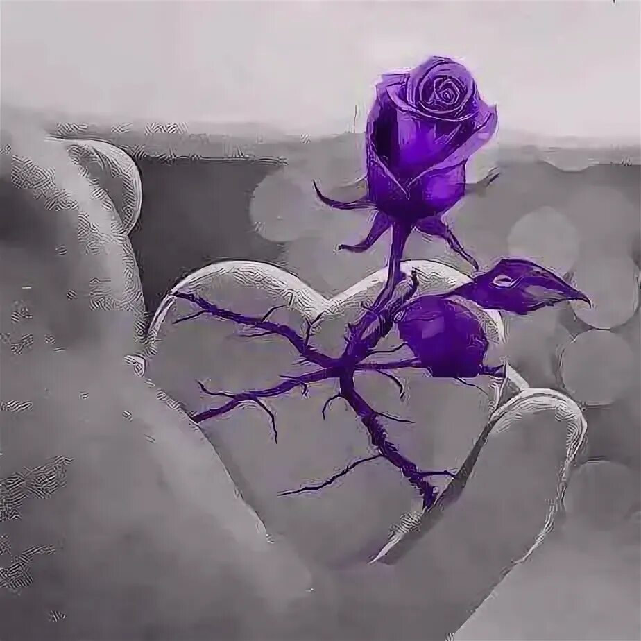 Young No альбом HeartBreak Summer слушать онлайн бесплатно на Яндекс Музыке в хо