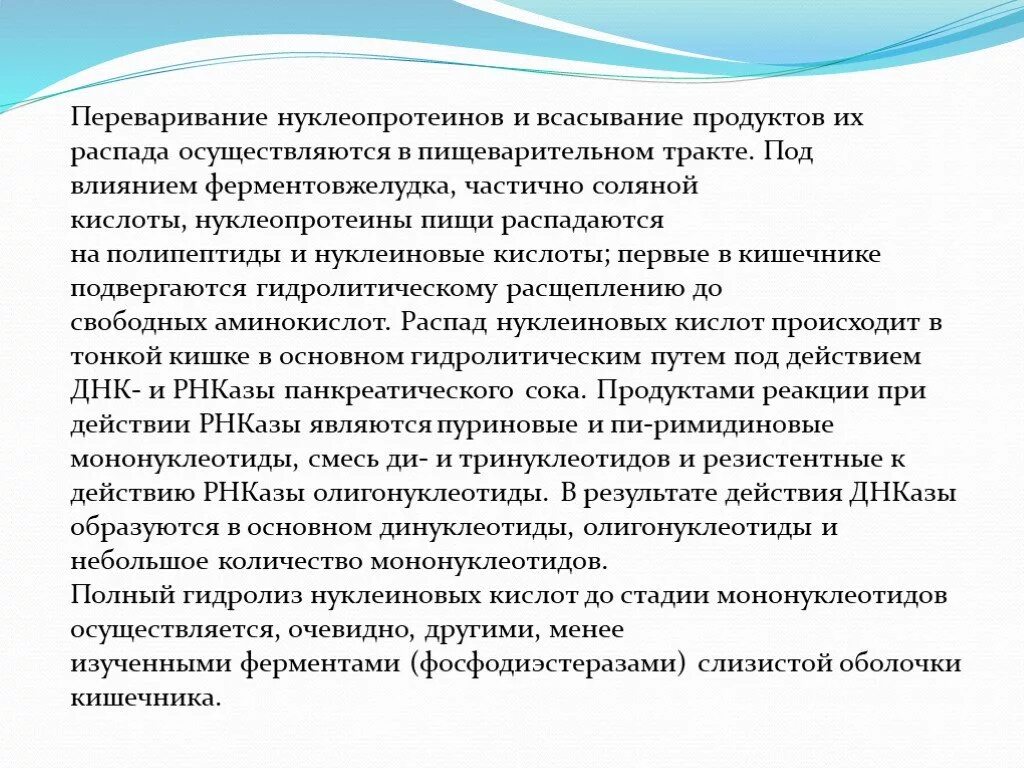 Переваривание и всасывание железосодержащих хромопротеинов. Схема переваривания нуклеопротеинов. всасывание продуктов гидролиза нуклеопротеидов. переваривание и всасывание нуклеопротеидов. переваривание нуклеопротеинов и нуклеиновых кислот.