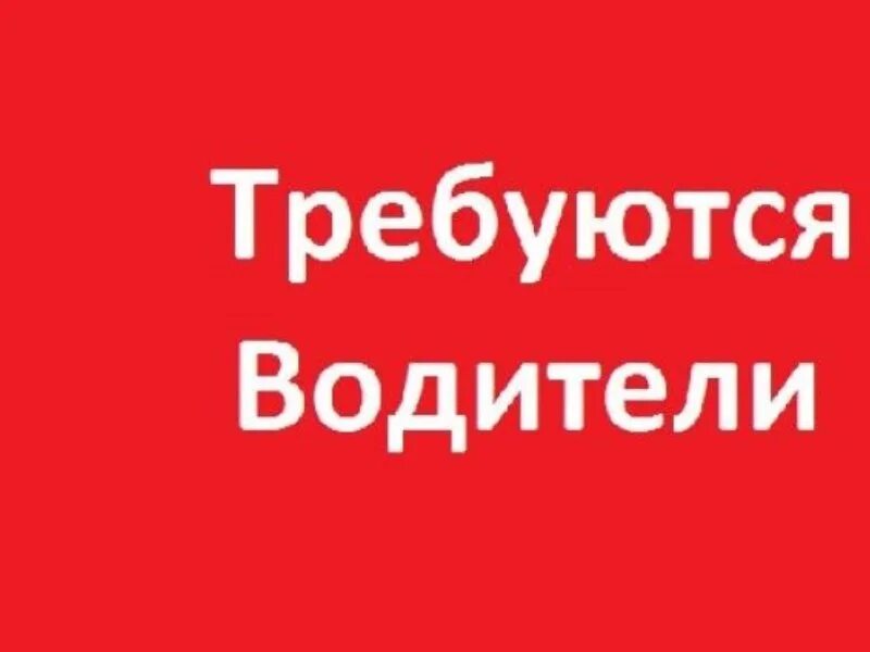 Требуется водитель. Требуется водитель категории с. Срочно требуется водитель. Требуется водитель картинка. Работу категориями б ц е